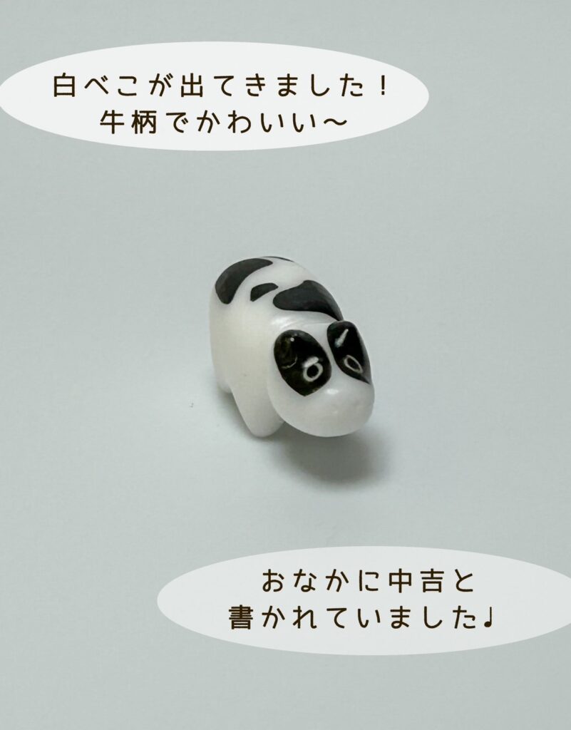 白べこがでてきた