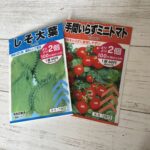 ダイソー 手間いらずミニトマト・しそ大葉 室内での水耕栽培