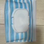 ウエットティッシュケース ダイソー お出かけに使うケースが欲しかったので購入