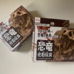 恐竜化石玩具 ダイソー 沢山削れておうち時間にピッタリ！