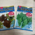 早どりほうれん草とレタス・サラダミックス(種) ダイソー 家庭菜園