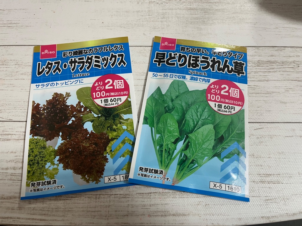 早どりほうれん草とレタス・サラダミックス(種) ダイソー 家庭菜園
