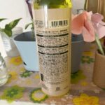 植物活力剤 ダイソー 観葉植物に元気を！