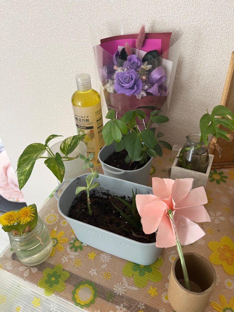植物活力剤 ダイソー 観葉植物に元気を！