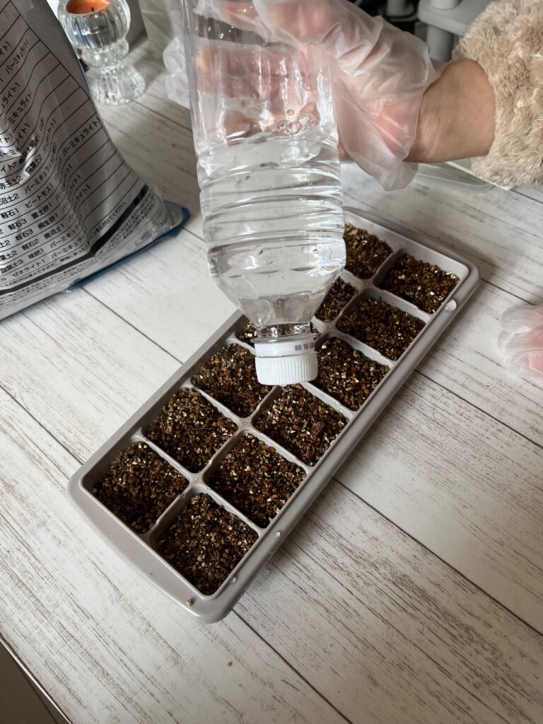 製氷機 ダイソー 発芽のための容器