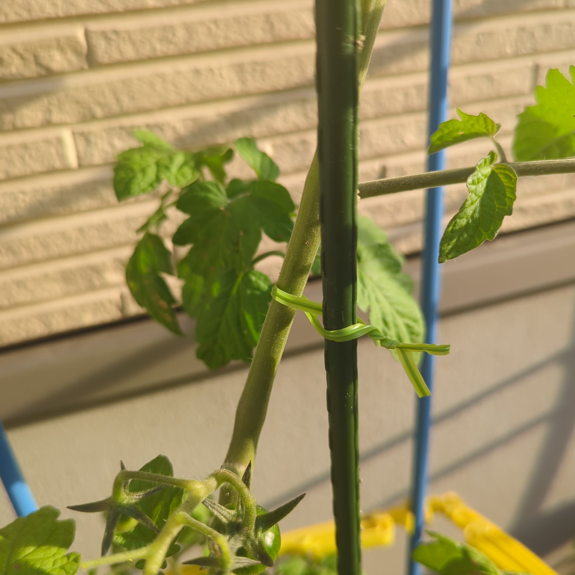 伸び〜るダイナソー 驚愕のクオリティ！ダイソー釣具の新商品、ロングビルミノー登場（なる