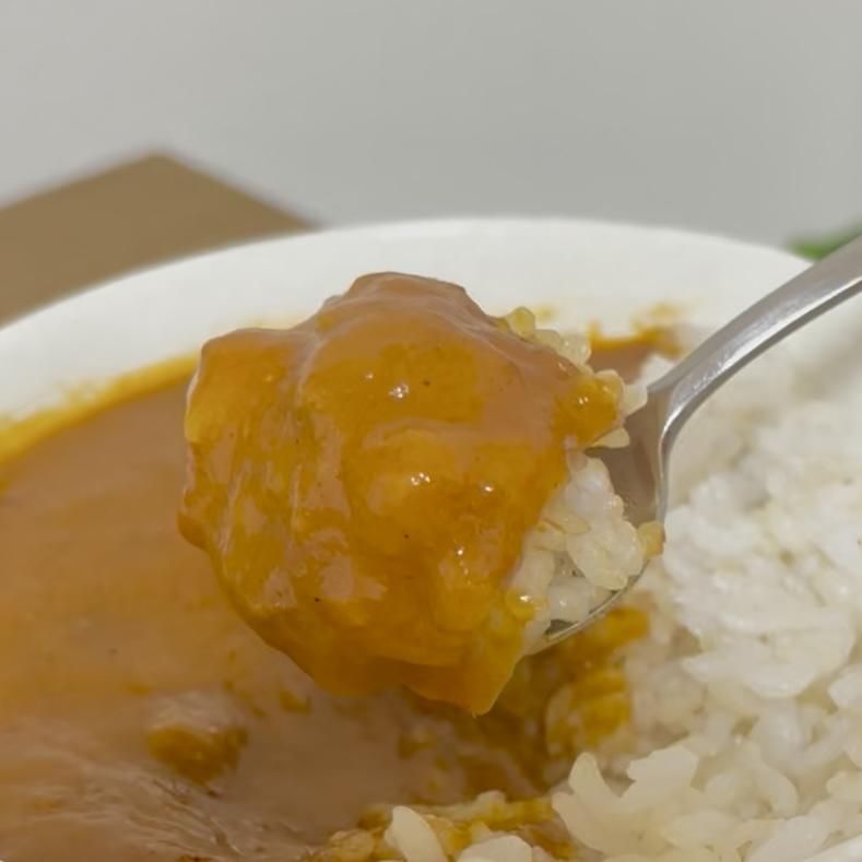 カレー バターチキン ダイソー レビュー 4枚目