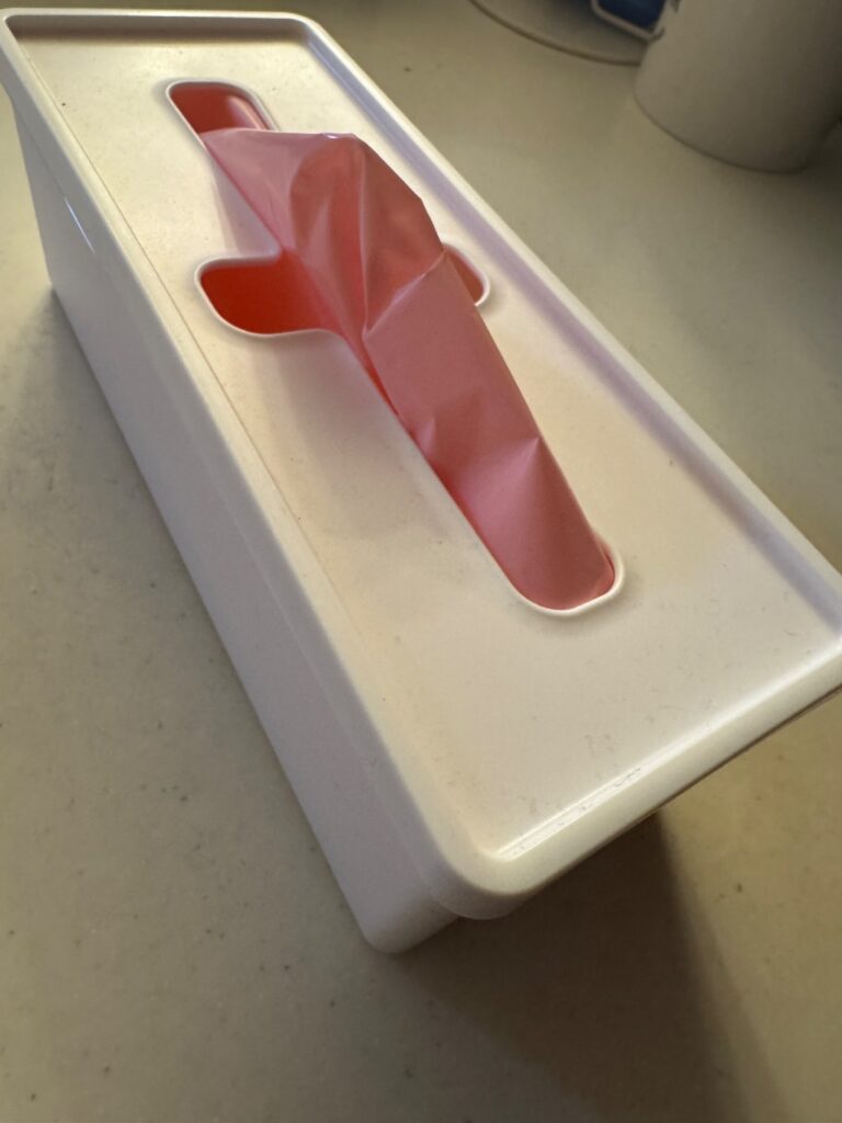 収納ケース セリア レビュー 2枚目