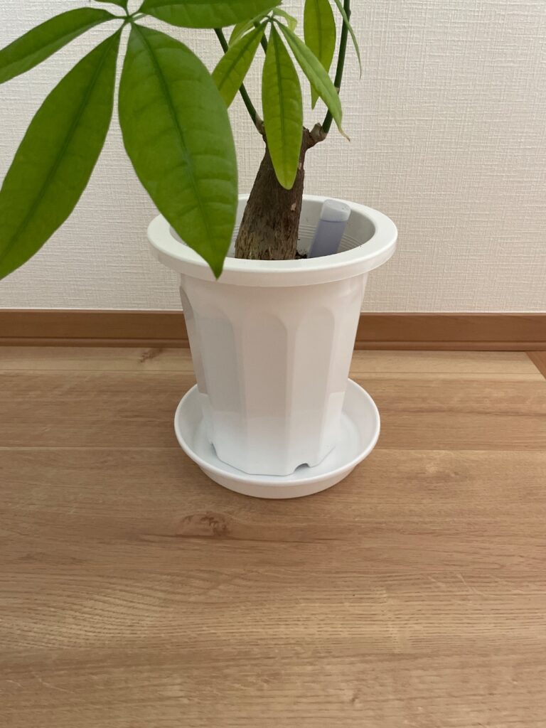 鉢の受け皿 セリア 観葉植物のグッズ！