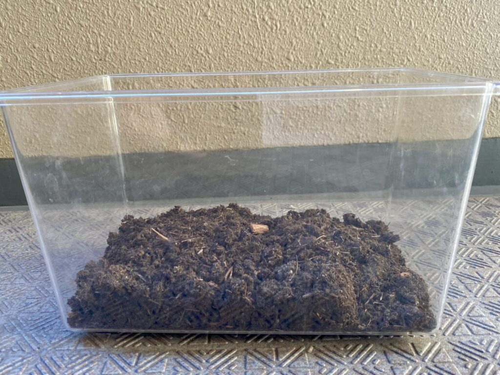 100均　ダイソー　カブトムシ飼育マット　使い方