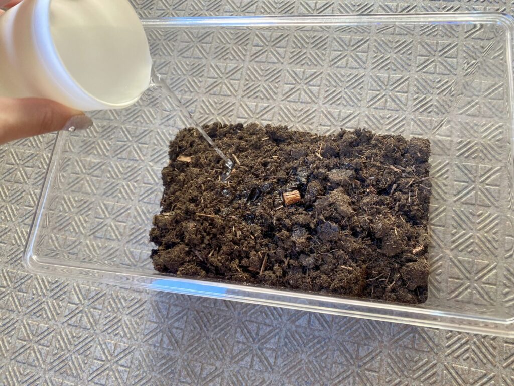 100均　ダイソー　カブトムシ飼育マット　使い方