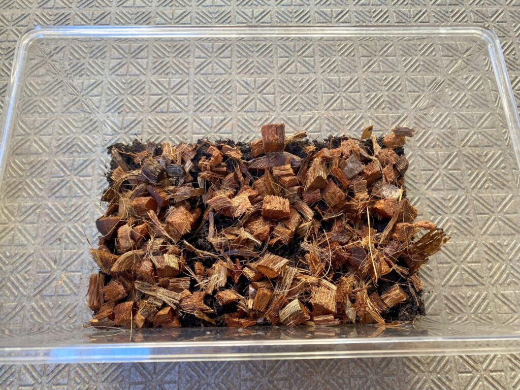 100均　ダイソー　カブトムシ飼育マット　使い方　ヤシガラチップ