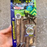 ころび防止小枝 ダイソー カブトムシやクワガタがひっくり返るのを防ぐ