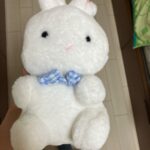 ぬいぐるみおすわりラビット ワッツ うさぎが好きだったので一目惚れで購入。大きすぎず小さすぎないサイズ感です。