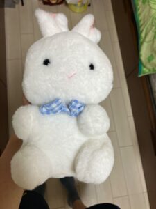 うさぎが好きだったので一目惚れで購入。大…