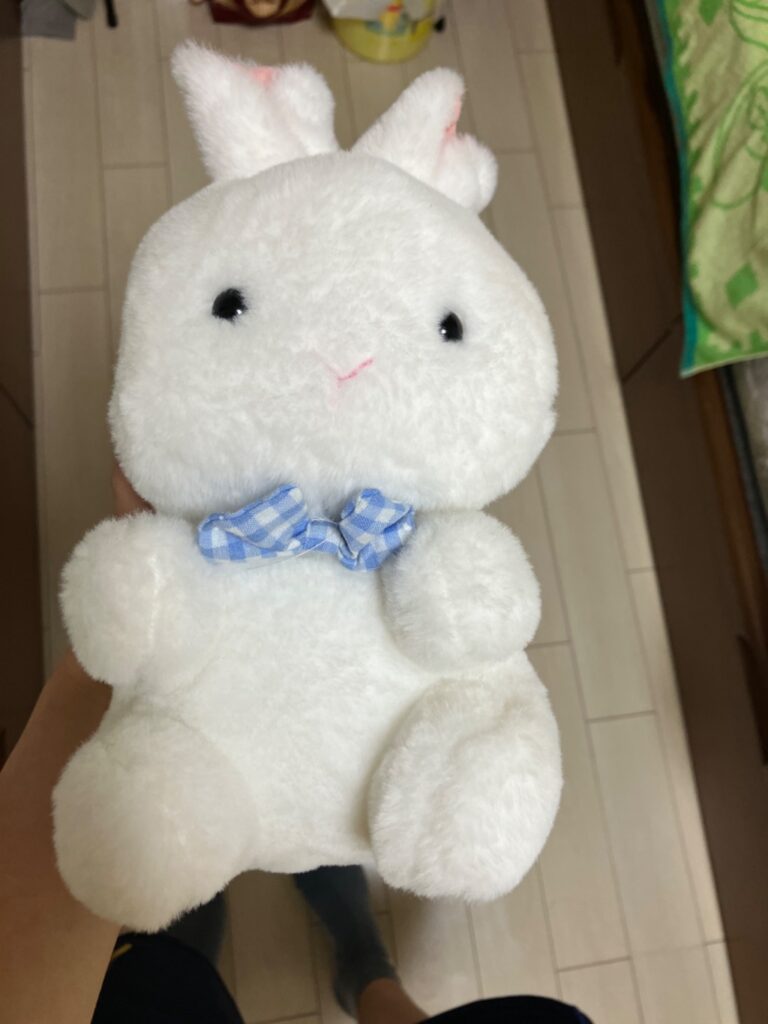 ぬいぐるみおすわりラビット ワッツ レビュー 1枚目