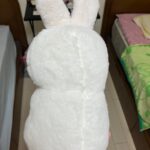 ぬいぐるみおすわりラビット ワッツ レビュー 2枚目