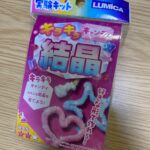 ふしぎな実験キット きらきらキャンディ結晶 ダイソー 懐かしいミョウバンの結晶観察