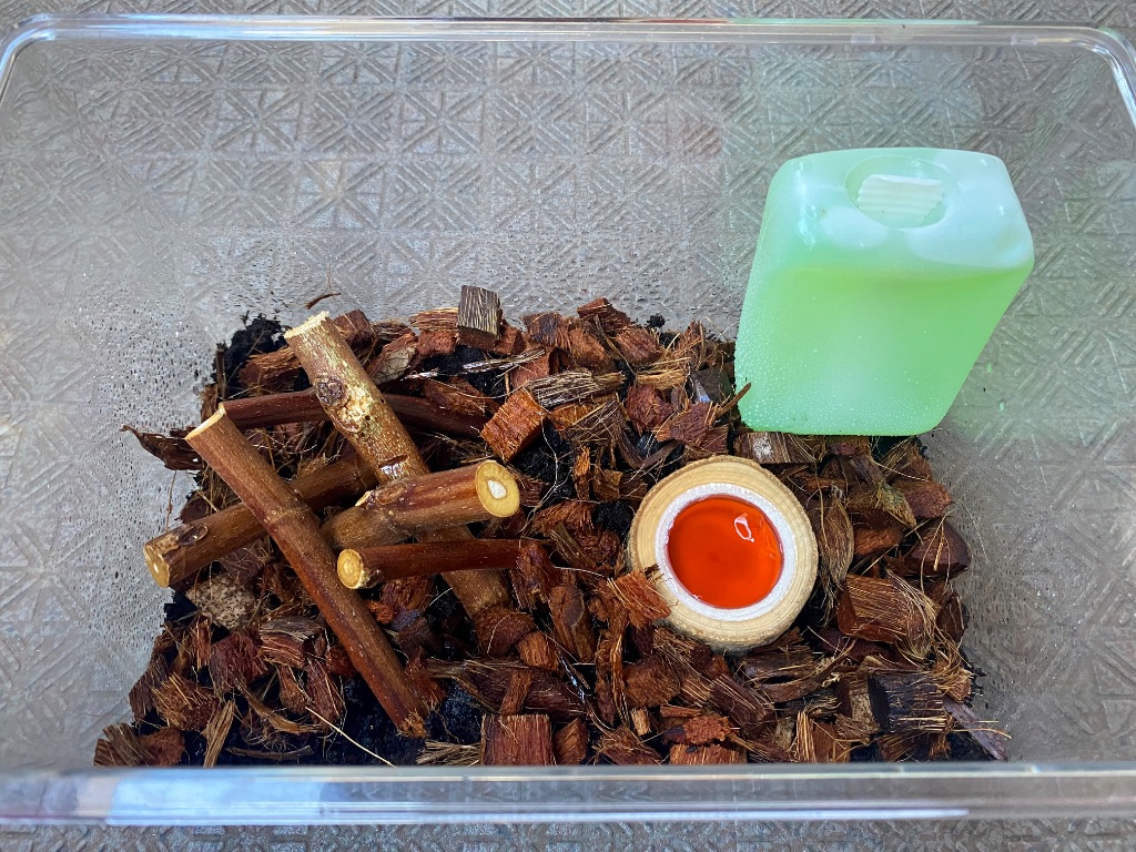 カブトムシ クワガタ飼育用エサ皿 ダイソー ダイソーの昆虫ゼリーがピッタリサイズ