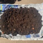 カブトムシ育成マット ダイソー カブトムシも安心、天然由来の土。