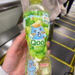 Qoo白ぶどう ダイソー 安定の美味しさ