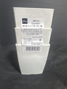 ダイソーで買った植物を植え替えしたい