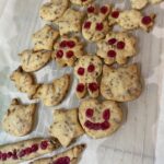セリア かんたんお手軽クッキーミックス粉 水とサラダ油だけでクッキーが作れる