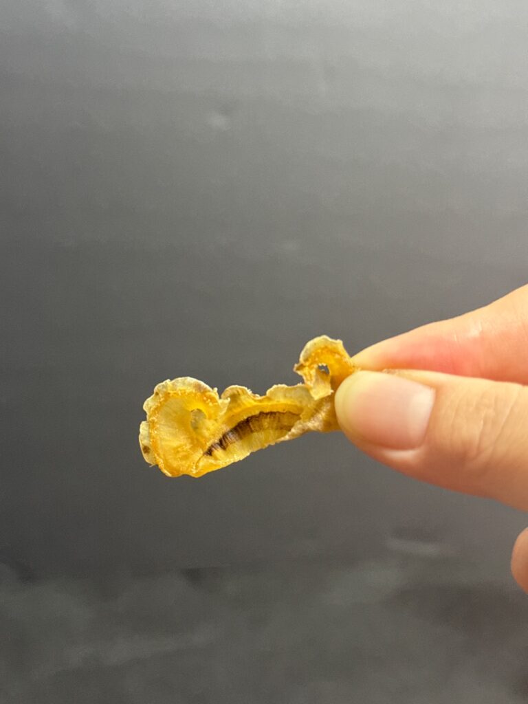 ダイソー ほたて焼貝ひも ちょっと食べたいのにとまらない