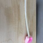 トイレクリーナー 先曲タイプ 抗菌・防臭 ４１．５ｃｍ Can Do（キャンドゥ） 先曲りでフチ裏もスッキリ洗えるトイレクリーナーです