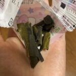 おしゃぶりこんぶをダイソーで購入した口コミ写真（3枚目）