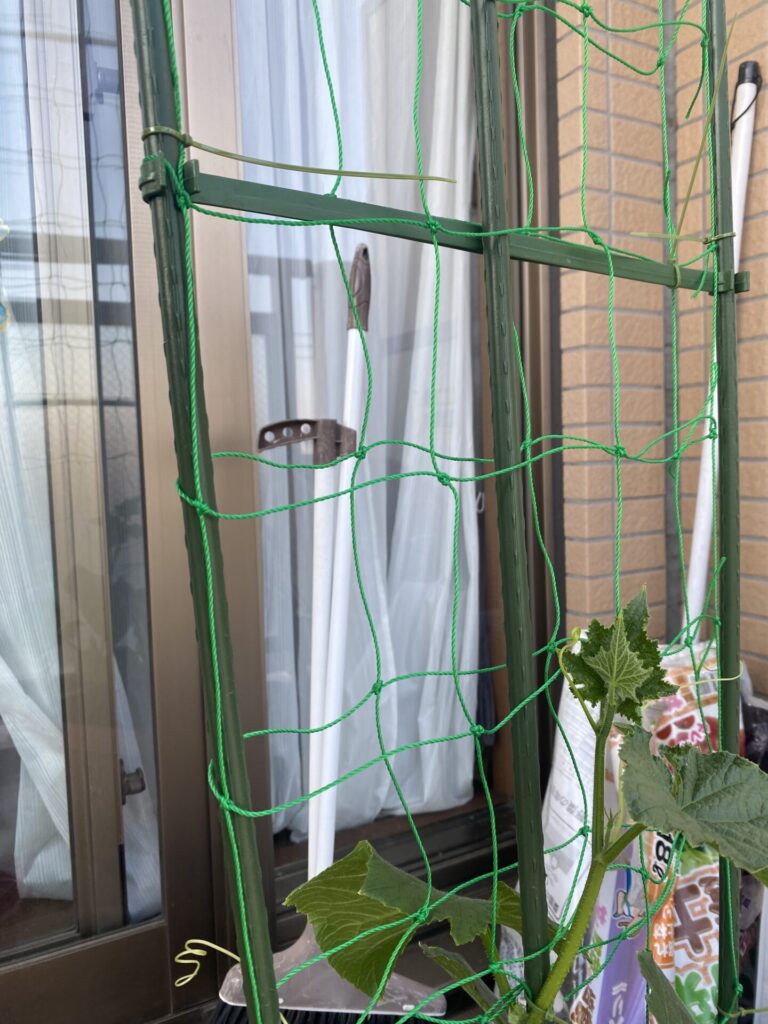 園芸ネットをセリアで購入した口コミ写真（4枚目）