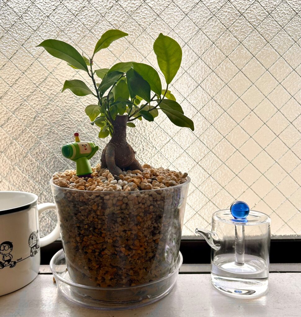 ガラス醤油挿しコラムブルーをナチュラルキッチンで購入した口コミ写真（3枚目）