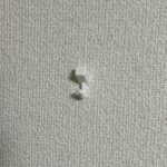 石こうボード専用 ピン跡が残りにくいピンフック3個をCan Do（キャンドゥ）で購入した口コミ写真（3枚目）