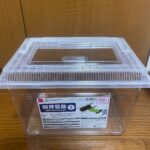 飼育容器 大 ダイソー ダイソーで買える大きめの虫かご