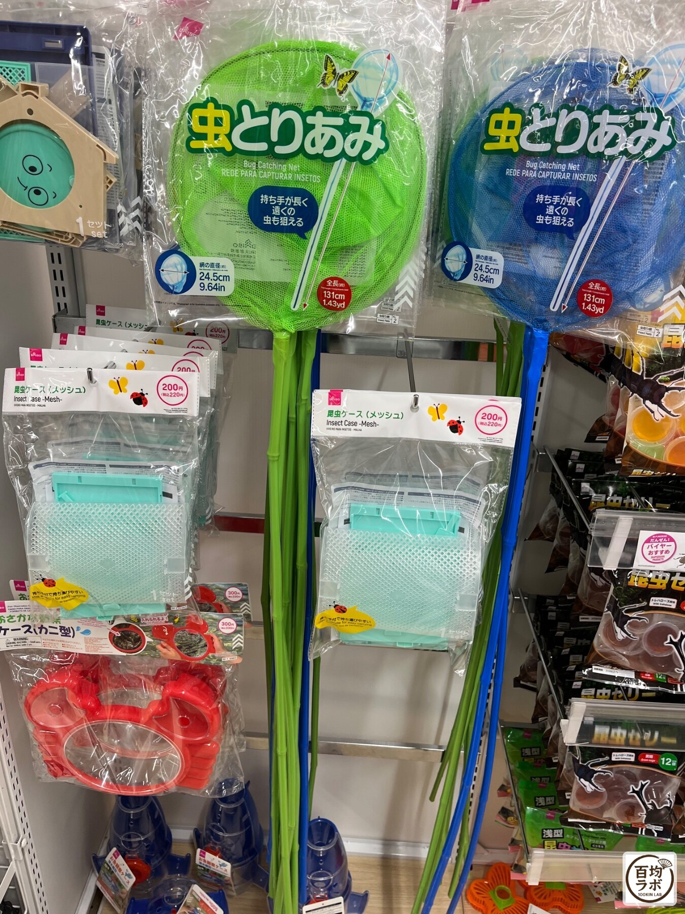 ダイソー 大崎の収納売り場に並ぶ虫とりあみ、虫ケース（メッシュ）など計4商品（2026年8月29日撮影）