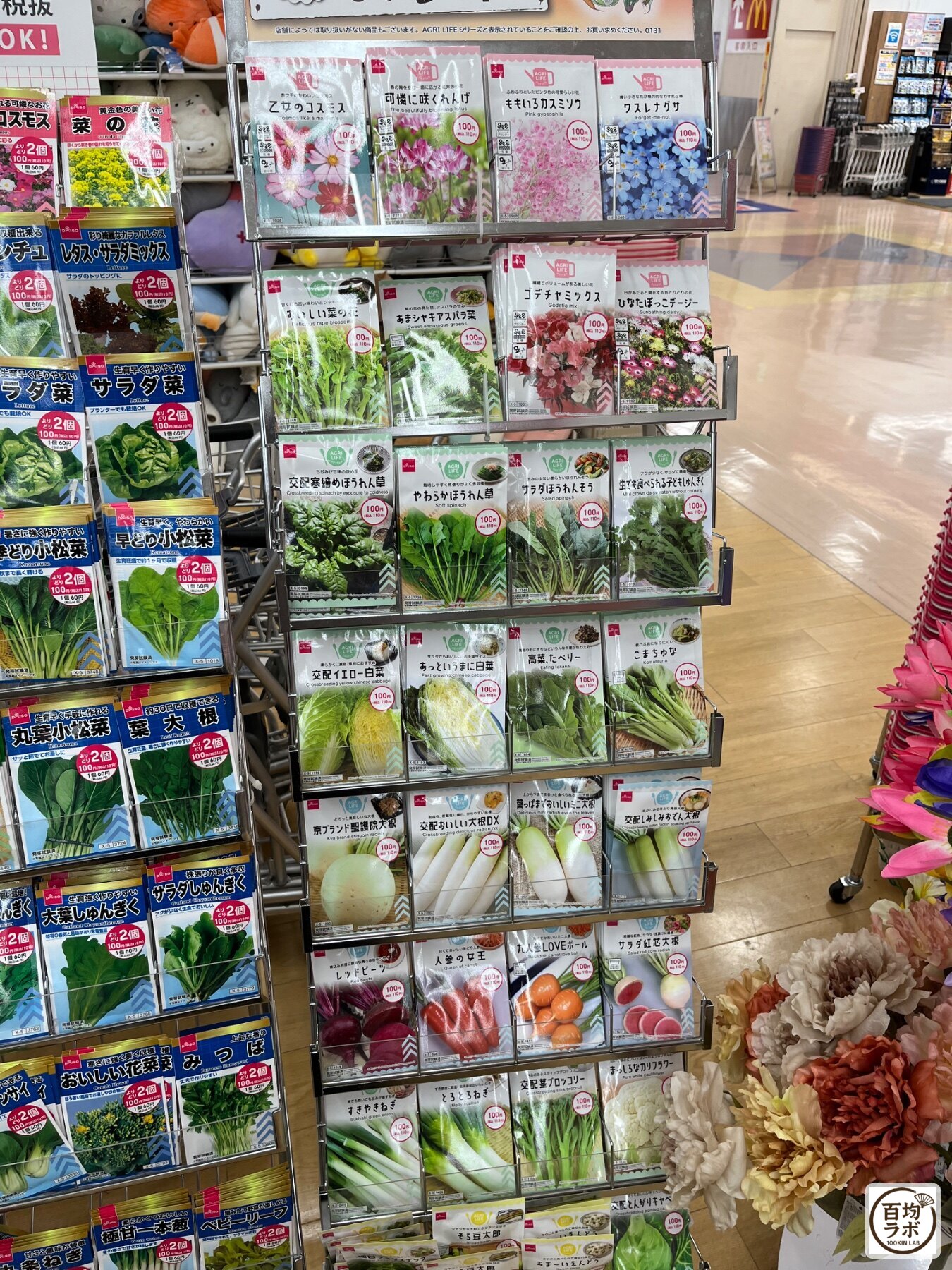 ダイソー 東戸塚の100均商品売り場に並ぶ花の種（乙女のコスモス）、花の種（可憐に咲くかすみ草）など計20商品（2026年8月11日撮影）