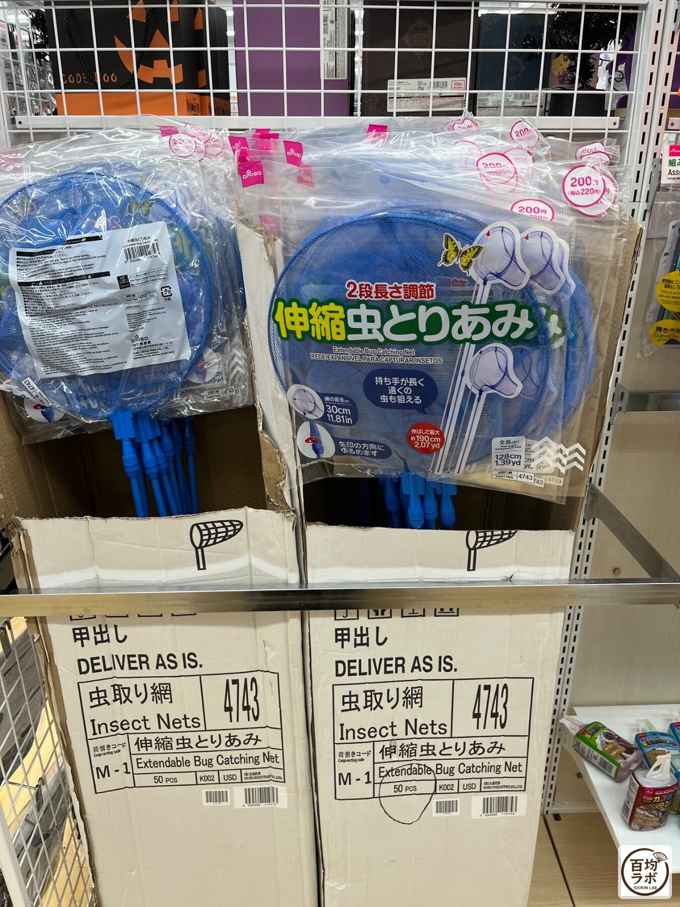 ダイソー 東戸塚のアウトドア売り場に並ぶ伸縮虫とりあみ(2026年8月11日撮影)