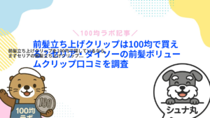 前髪立ち上げクリップは100均で買える?セリア・ダイソーの前髪ボリュームクリップ口コミを調査