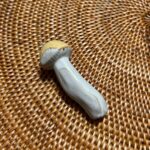 箸置き 立体きのこをナチュラルキッチンで購入した口コミ写真（2枚目）