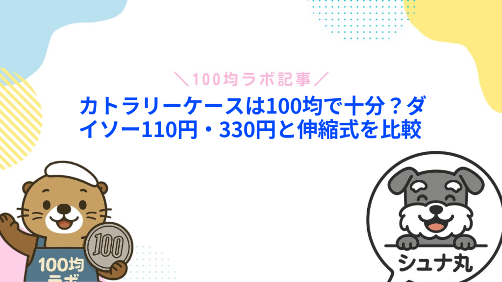 カトラリーケースは100均で十分？ダイソー110円・330円と伸縮式を比較